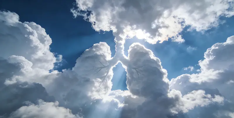 海口肺癌靶向120基因检测（组织）图片1