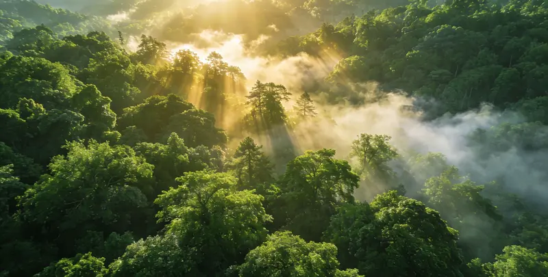 海口肺癌12基因ctDNA突变检测(血液）图片1