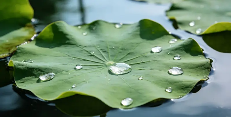 海口乳腺癌21基因mRNA表达分析图片1