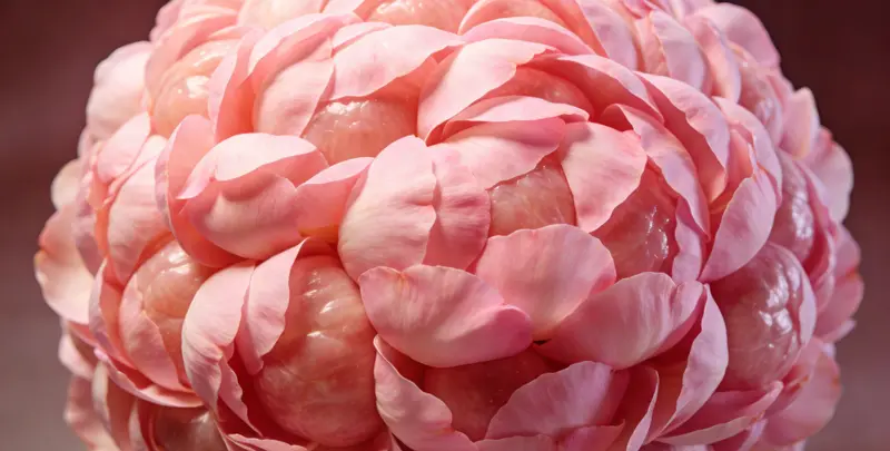 海口BRCA1/2乳腺癌卵巢癌基因检测图片1